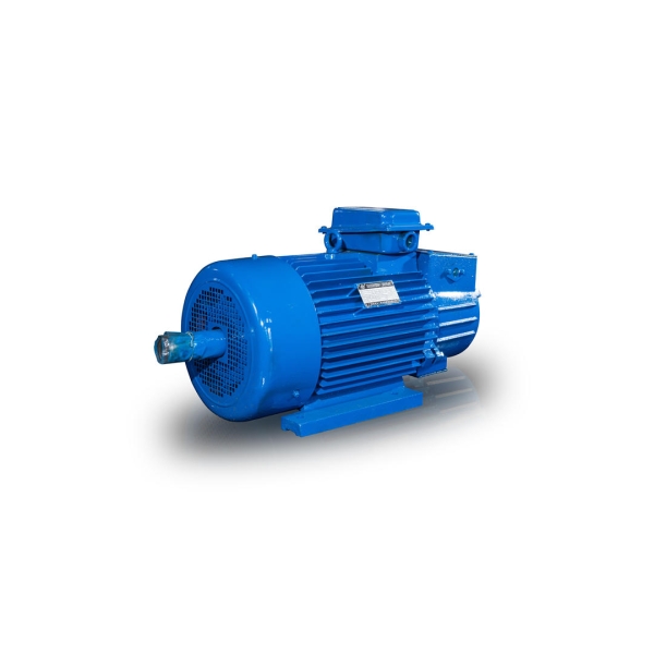 YZR160L-6起重電機